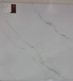 6060پرسلان واقعی کیفیت تضمینی